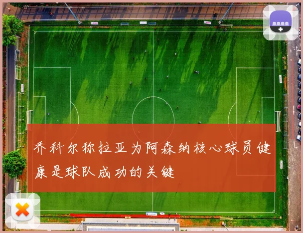乔科尔称拉亚为阿森纳核心球员健康是球队成功的关键